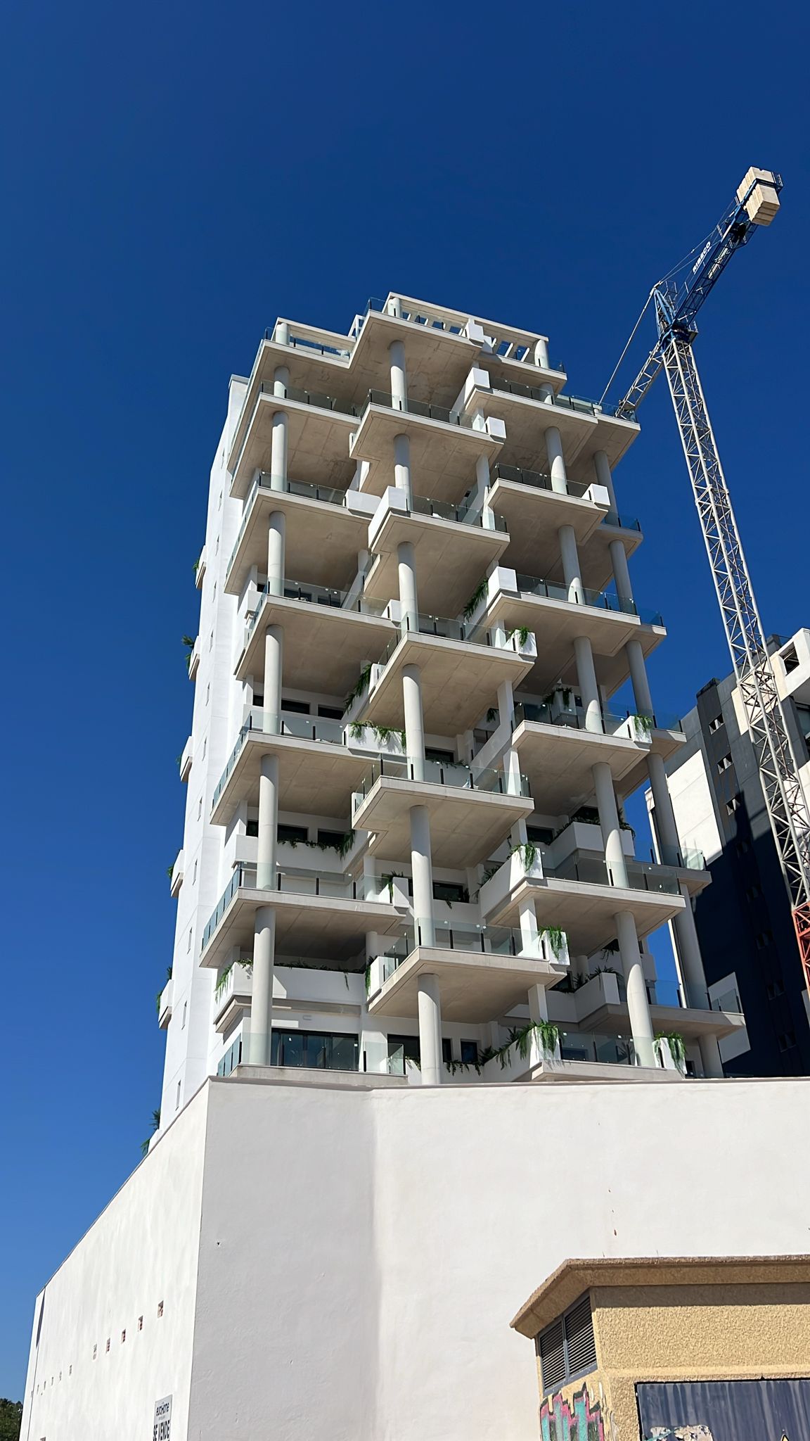 WhatsApp Image 2025-03-25 at 14.04.57